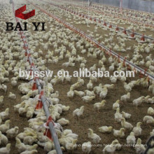 poultry Equipment for Broiler